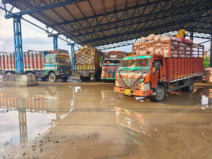 Heavy Rain in Ujjain: बेमौसम बारिश का कहर, उज्जैन मंडी और खाचरौद मंडी